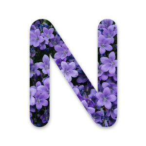 N