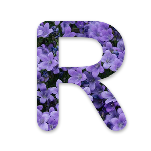 R