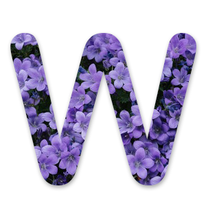 W